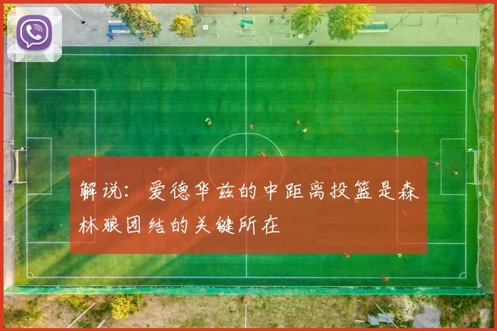 解说：爱德华兹的中距离投篮是森林狼团结的关键所在