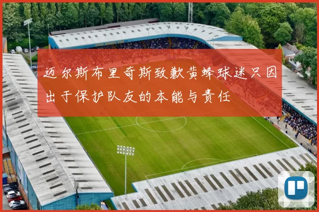 迈尔斯布里奇斯致歉黄蜂球迷只因出于保护队友的本能与责任