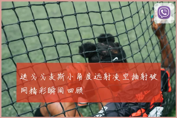 迭戈戈麦斯小角度远射凌空抽射破网精彩瞬间回顾